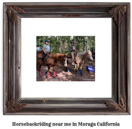 horseback riding near me in Moraga, California